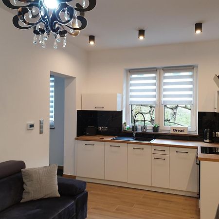 VILLA MILA Apartamenty Karpacz Luaran gambar