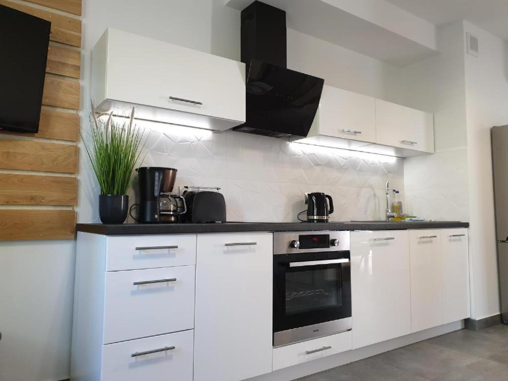 VILLA MILA Apartamenty Karpacz Luaran gambar